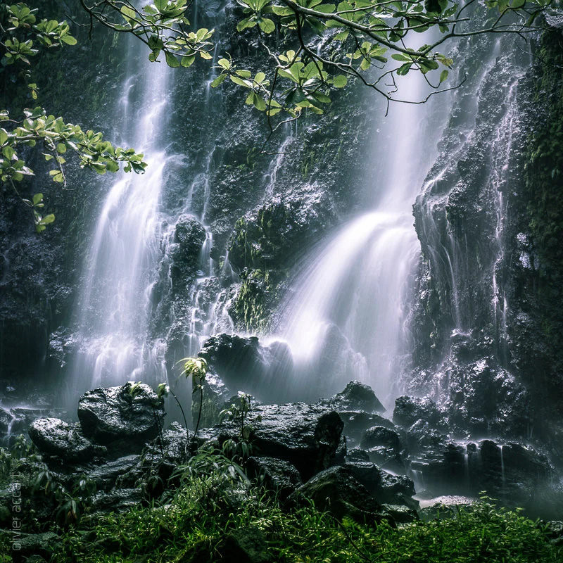 Cascades naturelles au milieu de la végétation à l’Anse des Cascades, La Réunion