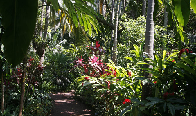 Jardin des Parfums et des Épices à Saint-Philippe, La Réunion